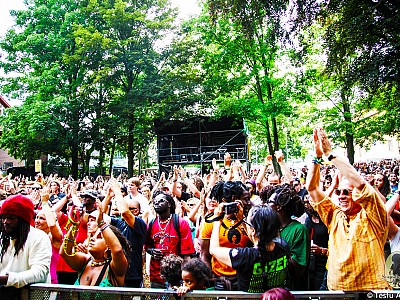 Festivalshuttle ReggaeJam crowd